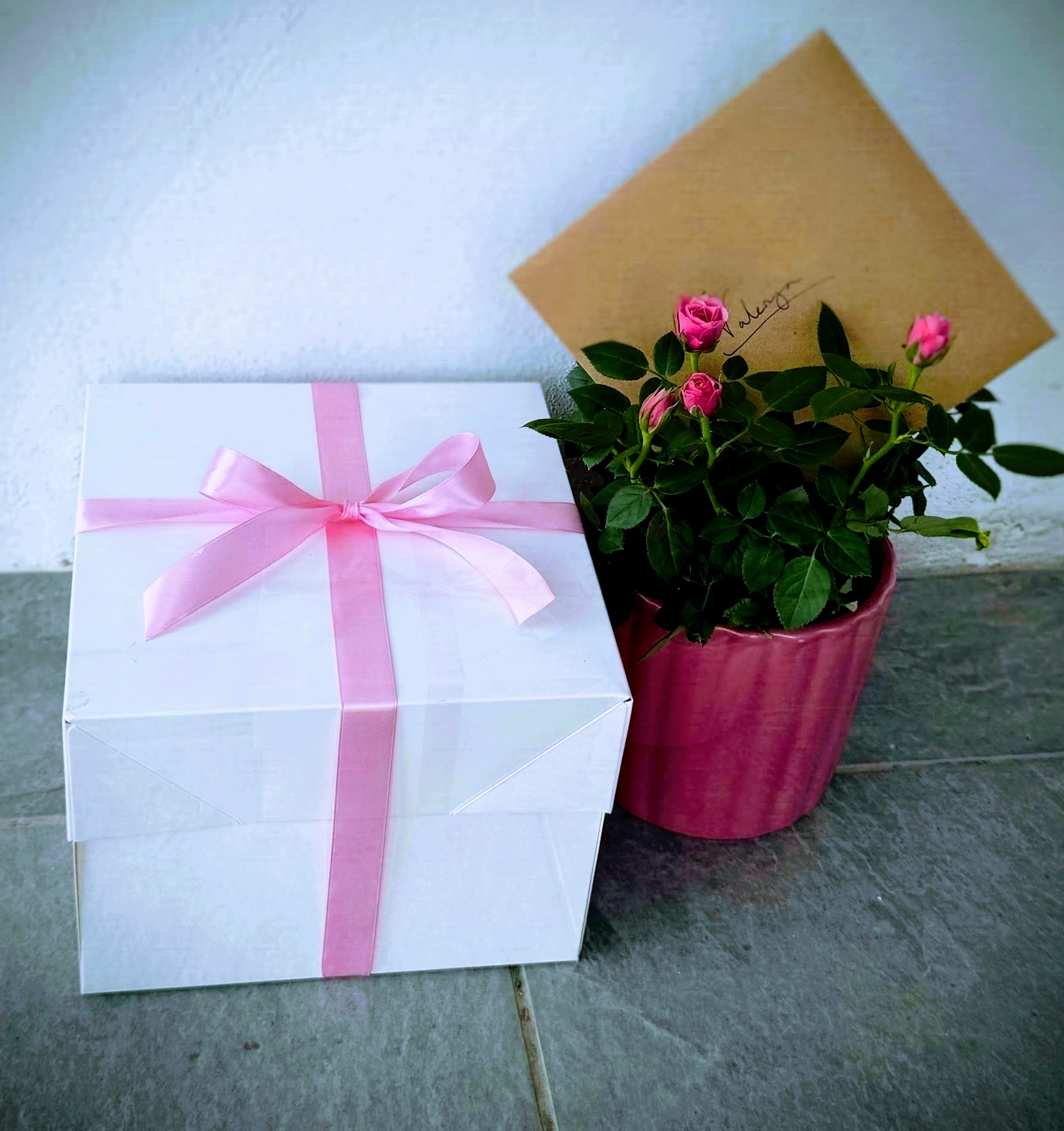 White wedding gift box tied with a pink ribbon beside a miniature rose