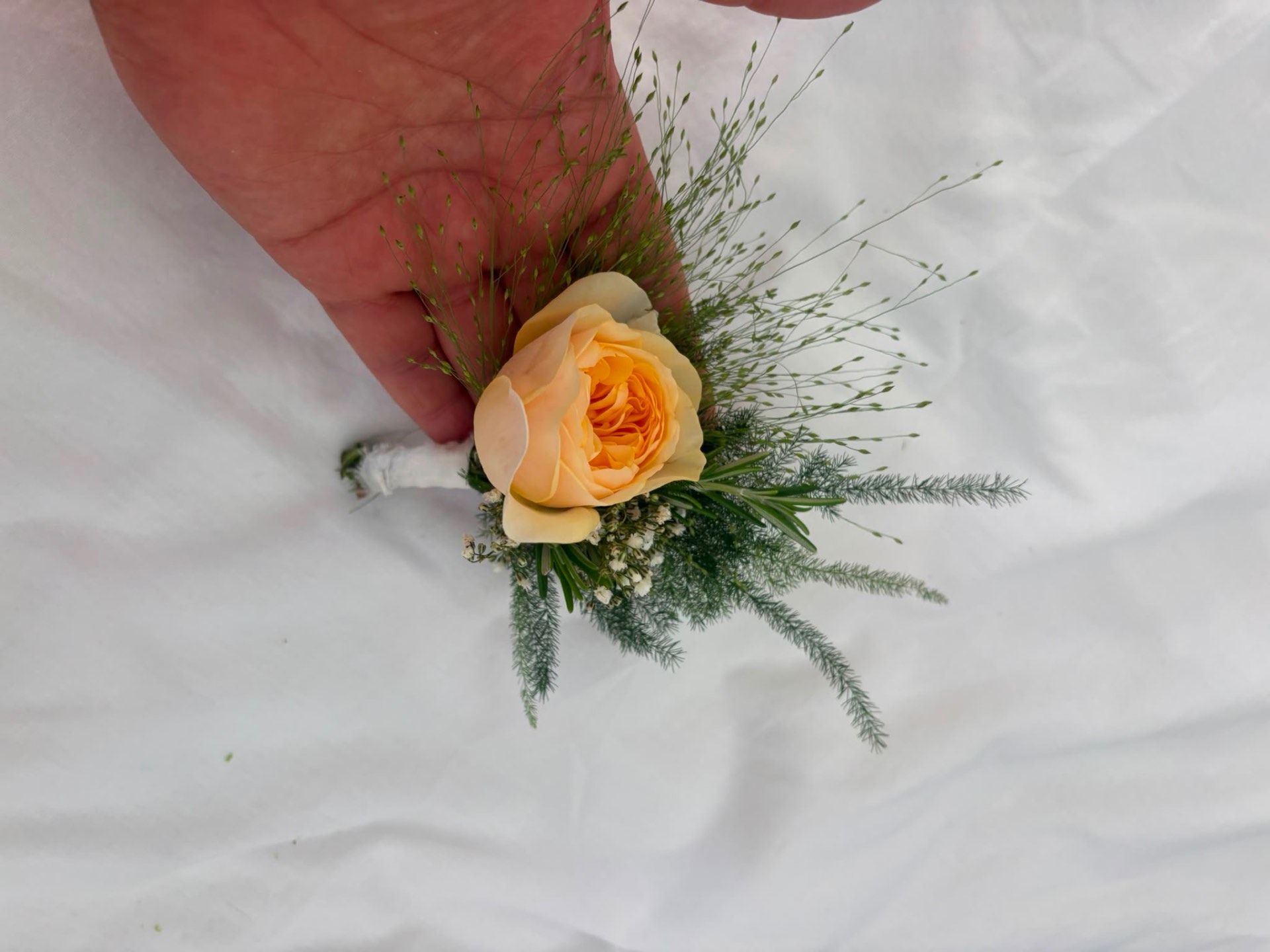 Groom's buttonhole of a peach garden rose with rosemary, fern, and baby's breath